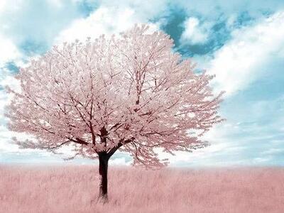 我那天没有见到Jun