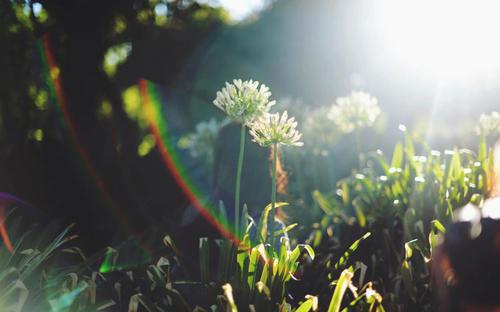 最不情愿的情感是心痛