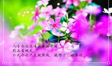 人到中年的感悟的说说 中年孤独的说说大全