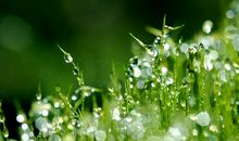 好朋友一起踏青的朋友圈说说