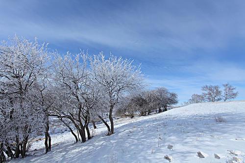 小编整理了一些有关冬季游戏的快乐句子