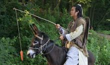 描写驴子的句子