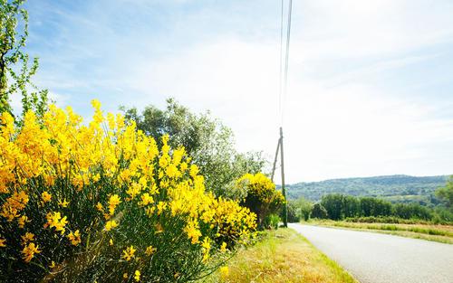 希望每个人都喜欢他们