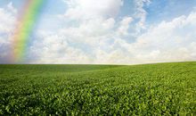 问候远方女朋友的短信