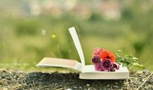 一分价钱一分货的说说