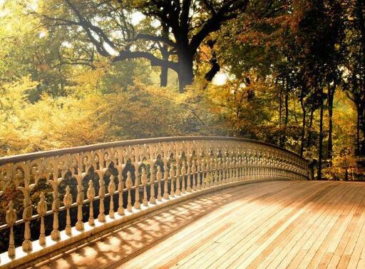 时间旅行和时间旅行