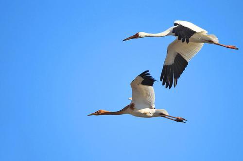 关于家庭的诗句是什么