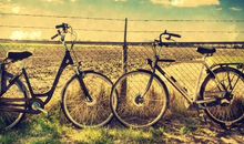 赞美小女孩的句子