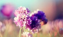 高兴的句子说说心情