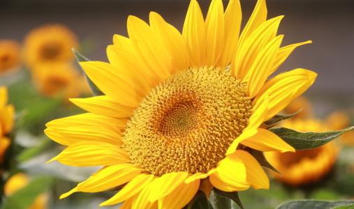 当一切都精疲力尽时