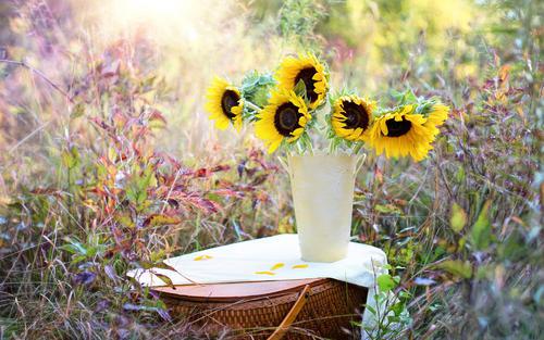 家庭关系非常好