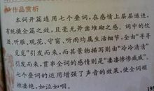 描写雨伞的句子