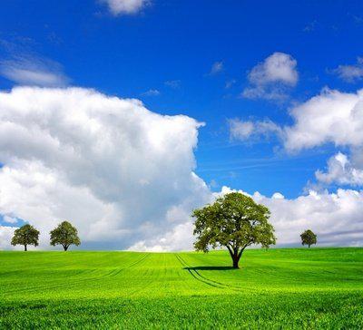 但是当您需要它时