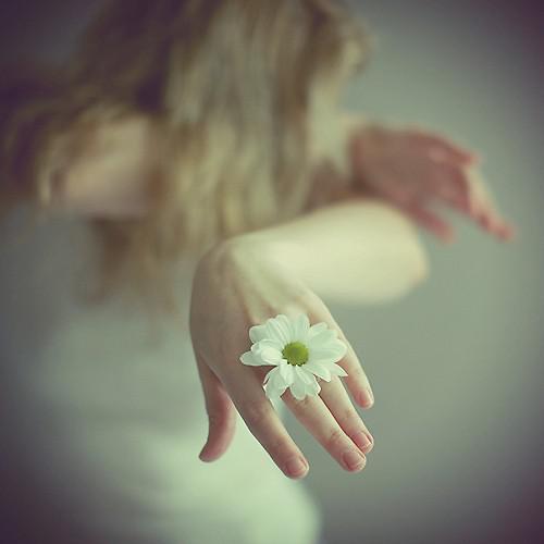 请大家尽情享受