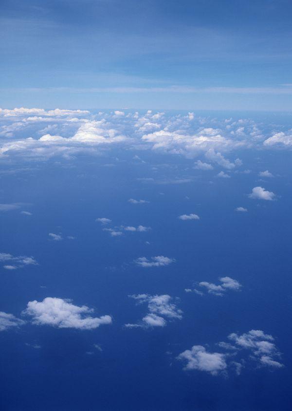 请选择一个谎言