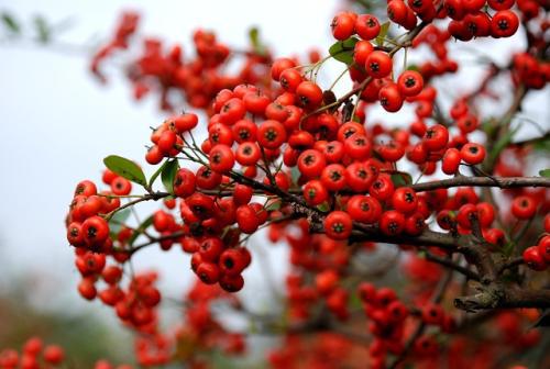 在年会上要高兴的句子是什么