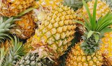 爱吃菠萝的朋友圈说说 朋友圈晒菠萝的说说