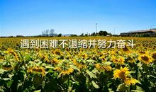 关于遇到困难不退缩并努力奋斗的名言