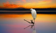 大气古风句子赏析