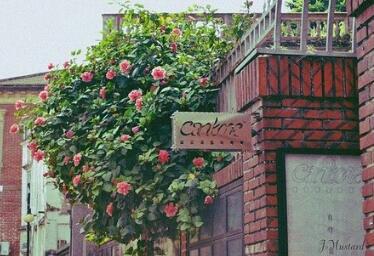 兄弟和朋友应该谈论所有事情