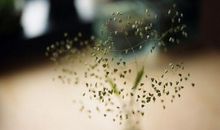 2020最新唯美伤感的古风句子