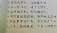 描写夜雨的优美句子