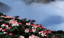 关于峨眉山的优美句子