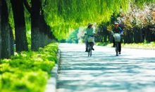 环境描写描写开心的句子大全