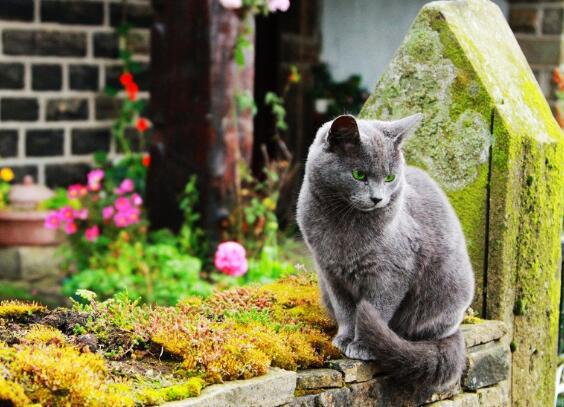 这是又一次大雪