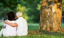 形容亲情浪漫句子