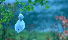 过的不开心高冷的句子