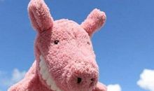 逗比可爱的句子 爆笑萌句说说