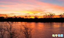 不烂大街的励志语录 独特个性的励志说说