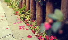 霸气古风签名2020