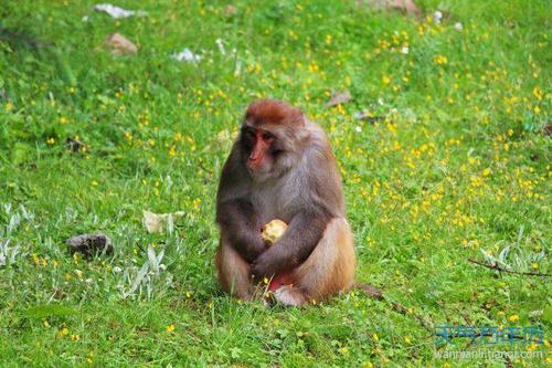 qqÍøÃûÅ®ÉúĞÄÇé²»ºÃ 0