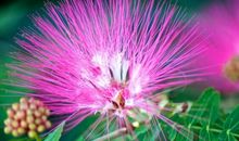 如何含蓄的表达我想你的句子