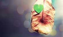 赞美景物的好句子大全