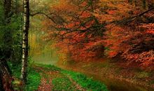 珍惜感情的句子大全