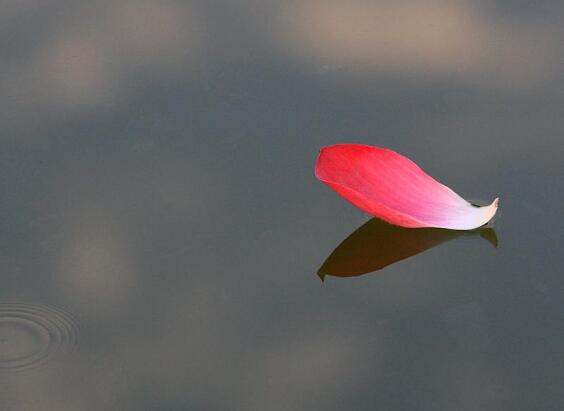 时间悄悄地穿越青年的岁月