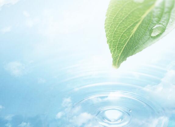 我无法摆脱那个梦中花儿的甜言蜜语