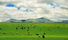 描写草原美景的句子