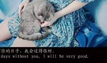 女友离开心痛的句子