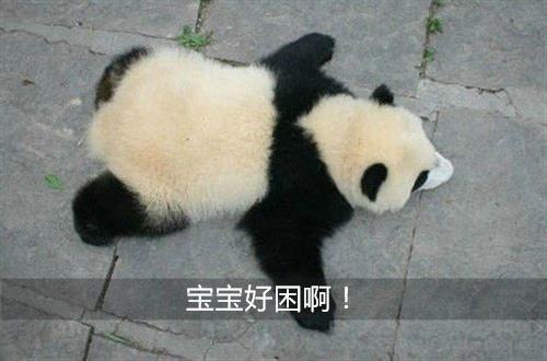 我不知道您是否经历过这种感觉