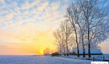 描写家乡景色的片段