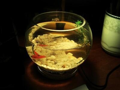 您必须了解:您不能让您想离开的人