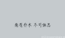 南方有乔木经典语录
