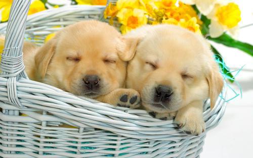 编辑编辑了一些有关写家庭成员的句子