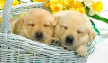 写亲情家人的句子