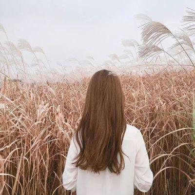 不高兴和悲伤的句子是什么