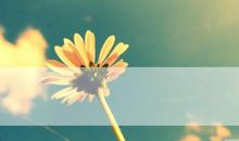 有关道德的经典名言